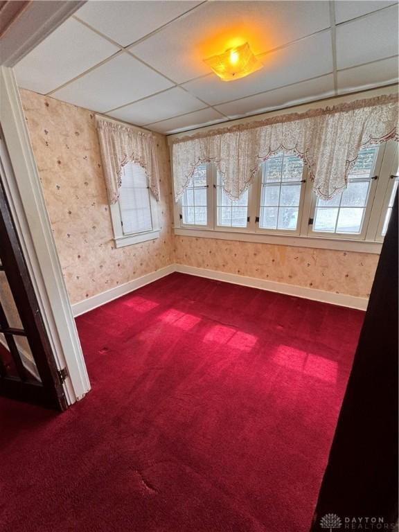 230 New Columbia Blvd, Sidney, OH 45365 - empty room with carpet floors, wallpapered walls, baseboards, and a drop ceiling