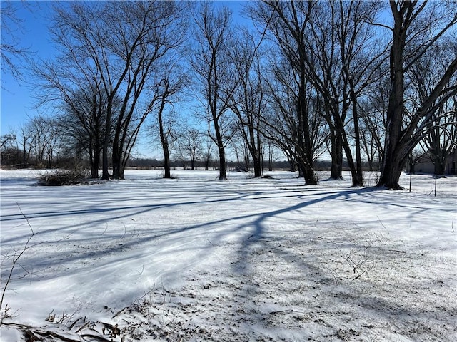 view of yard layered in snow