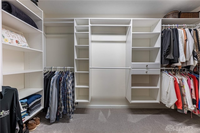 walk in closet with carpet