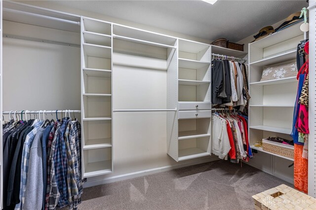 walk in closet with carpet