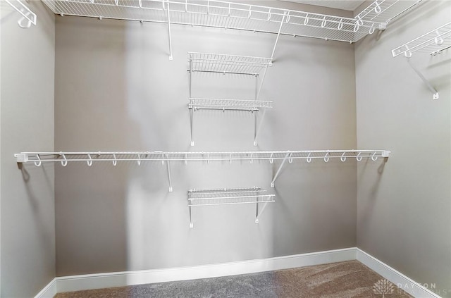 view of walk in closet