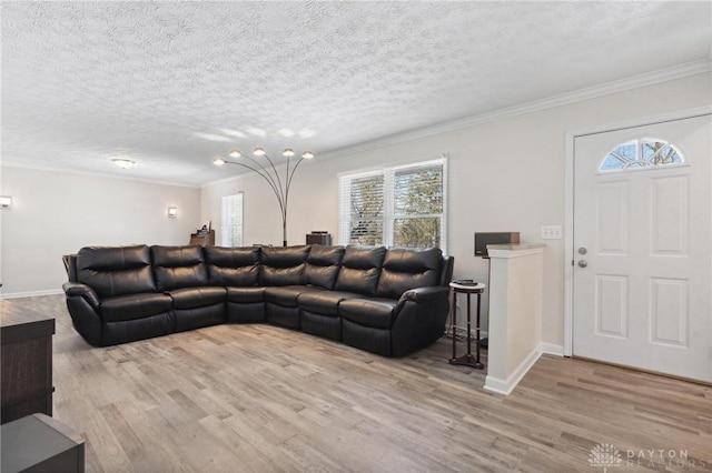 living area with light wood-style floors, a textured ceiling, and crown molding