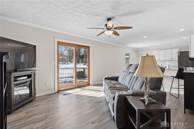 living area featuring ornamental molding, plenty of natural light, a textured ceiling, and light wood finished floors