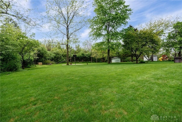 view of yard featuring a storage shed and an outdoor structure
