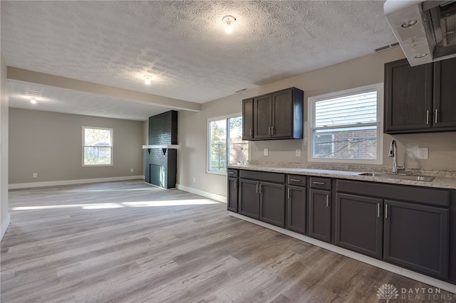 kitchen featuring light wood finished floors, a wealth of natural light, a brick fireplace, open floor plan, and a sink