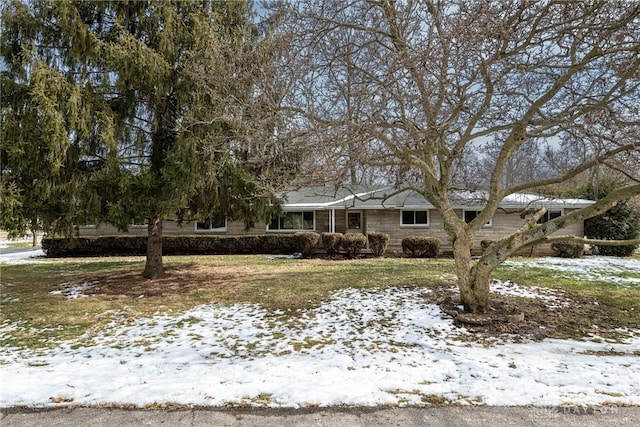 view of front facade with a yard