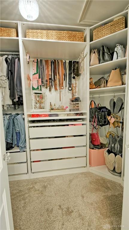 view of closet