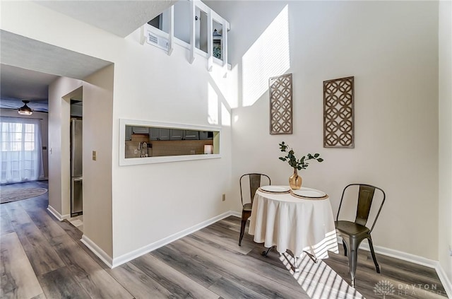 interior space featuring a towering ceiling, baseboards, and wood finished floors