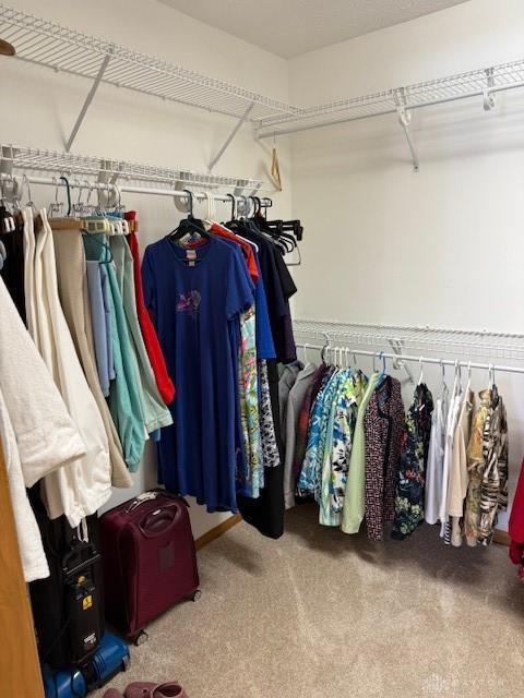 spacious closet featuring carpet flooring