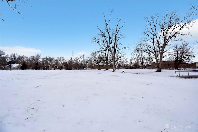 view of snowy yard