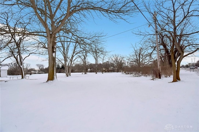 view of yard covered in snow