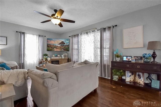 living room featuring a ceiling fan, dark wood finished floors, and a textured ceiling