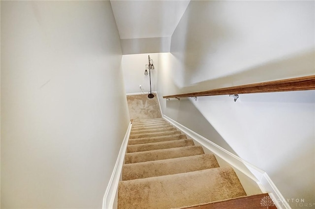 stairs featuring carpet and baseboards