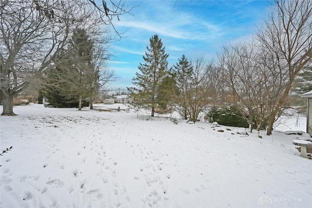 view of snowy yard