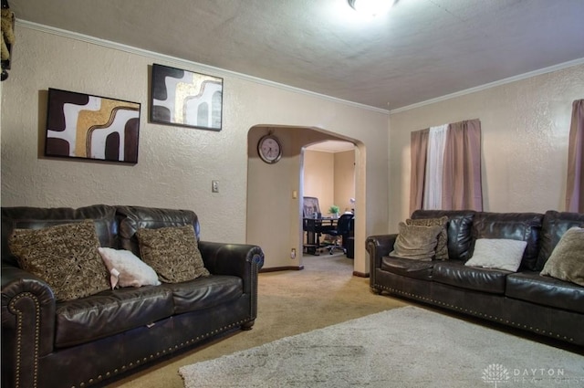 carpeted living area featuring arched walkways, a textured wall, and ornamental molding