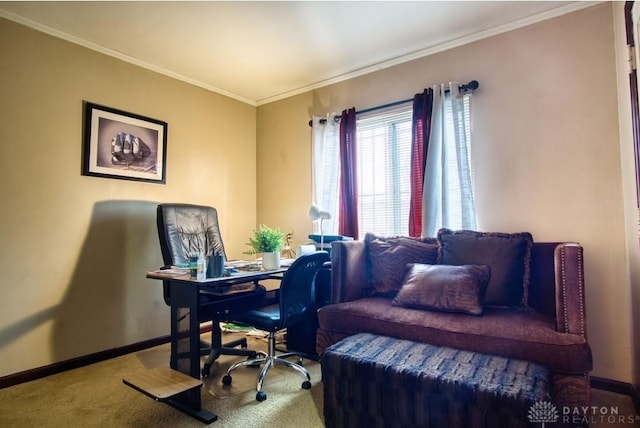 office area featuring carpet, baseboards, and ornamental molding