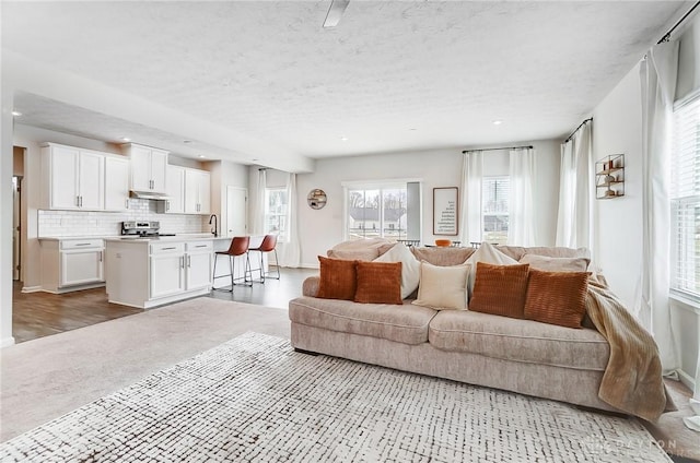 living room with light carpet, a textured ceiling, and baseboards