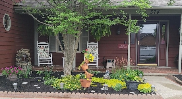 view of exterior entry featuring a porch and a shingled roof