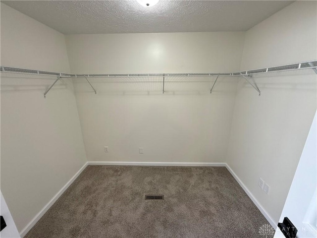 spacious closet with carpet floors and visible vents