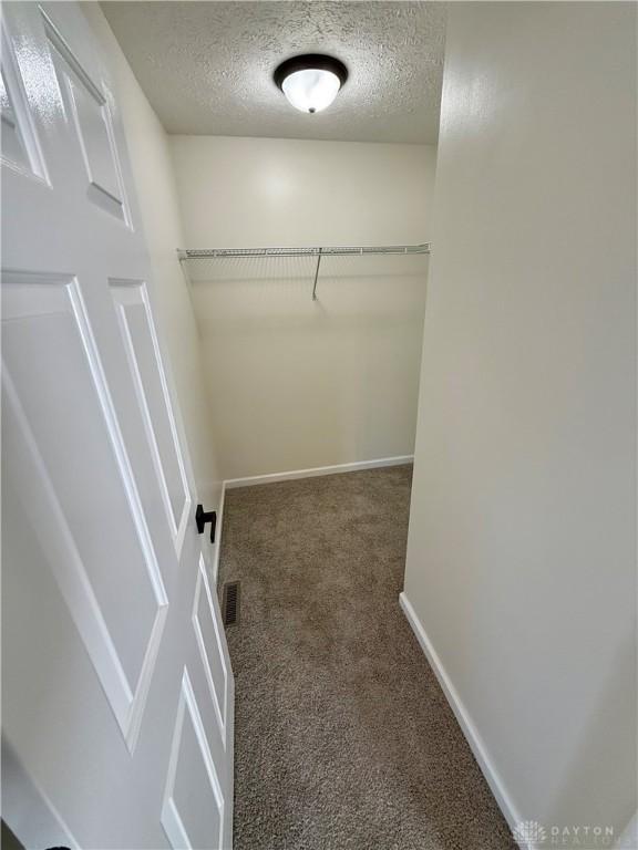 spacious closet featuring carpet floors and visible vents