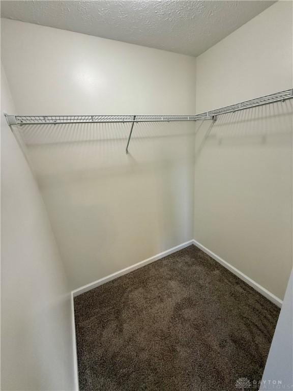 walk in closet with dark carpet