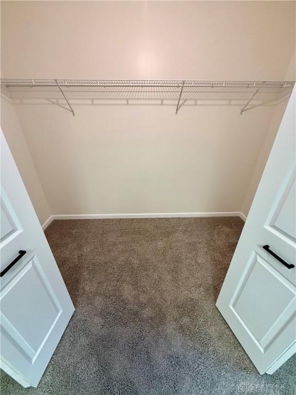 walk in closet with carpet floors