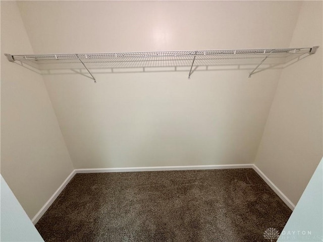 walk in closet featuring carpet flooring