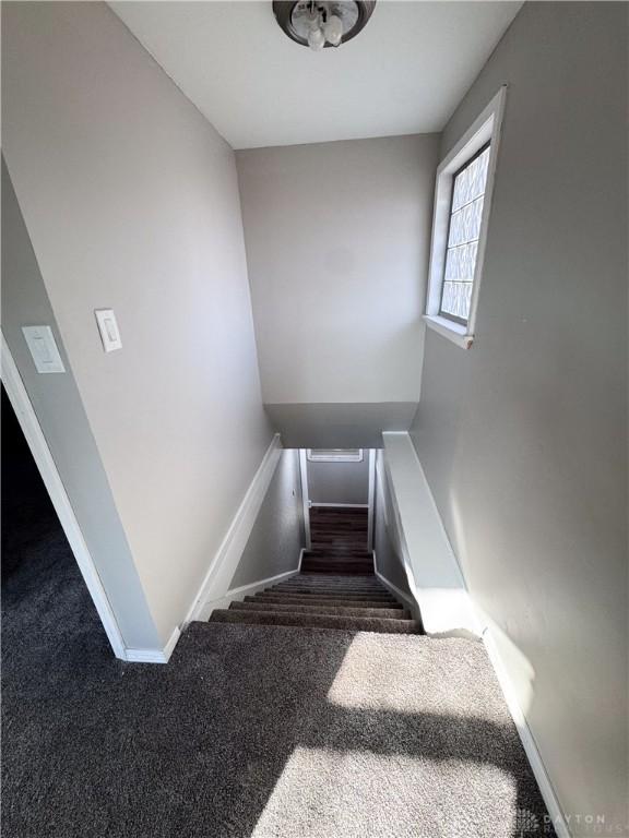 staircase featuring carpet and baseboards