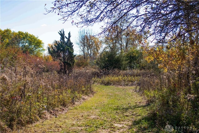 view of landscape