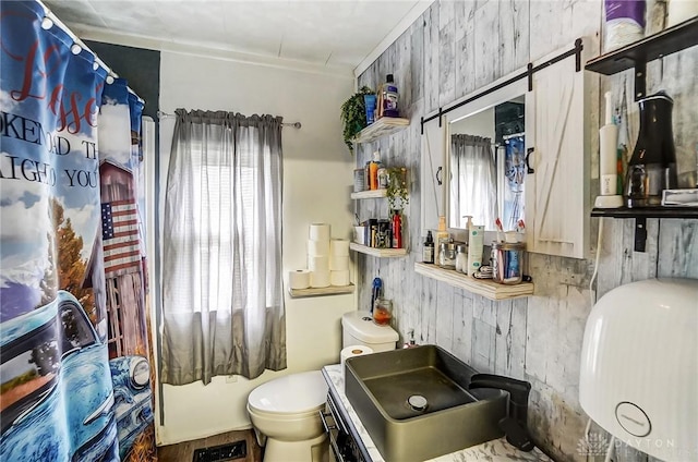 bathroom featuring a sink and toilet