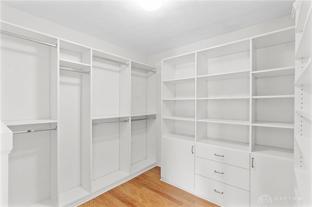 walk in closet with light wood-type flooring