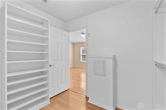 spacious closet with light wood-style flooring