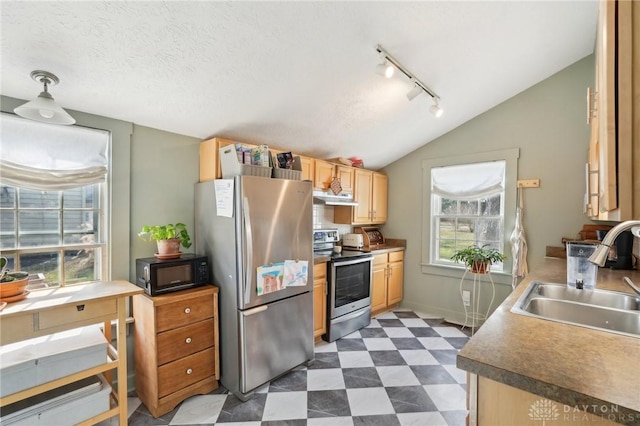 kitchen featuring dark floors, under cabinet range hood, a sink, vaulted ceiling, and appliances with stainless steel finishes