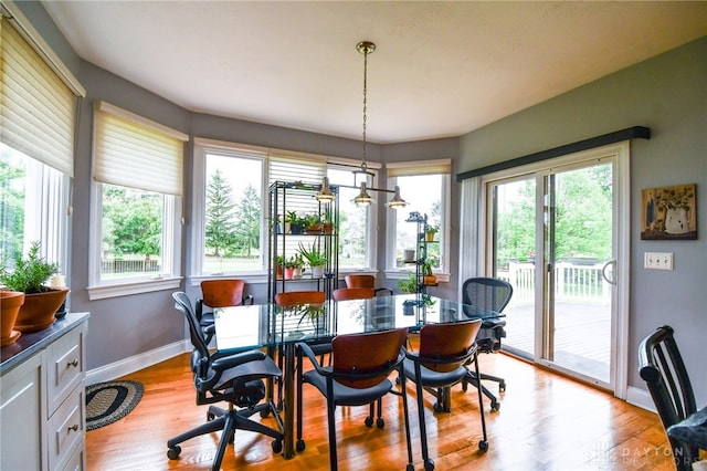 dining room featuring plenty of natural light, baseboards, and wood finished floors