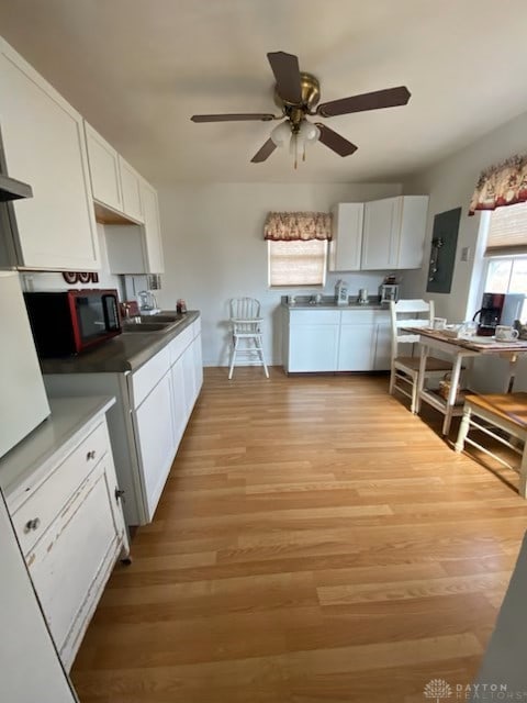 kitchen featuring light wood finished floors, electric panel, white cabinets, a ceiling fan, and a sink