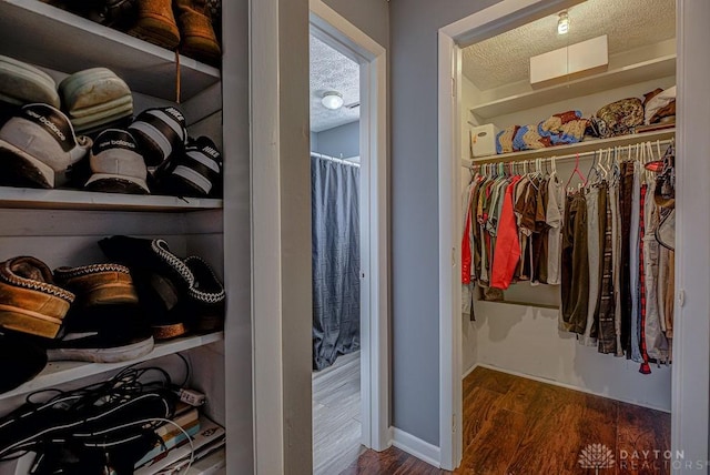 view of closet