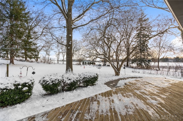 view of snowy yard