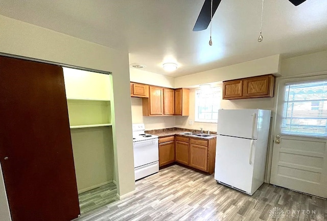 kitchen with light wood-style floors, brown cabinetry, a ceiling fan, a sink, and white appliances