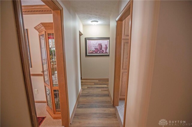 1250 Yankee Woods Dr, Washington Twp, OH 45458 - corridor featuring a textured ceiling, baseboards, and light wood-style flooring