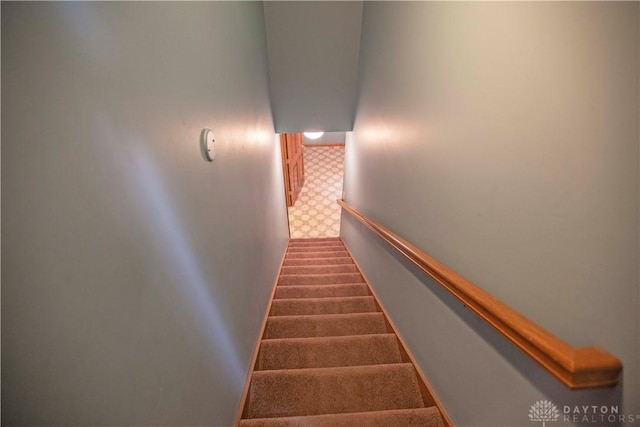 stairs with carpet flooring