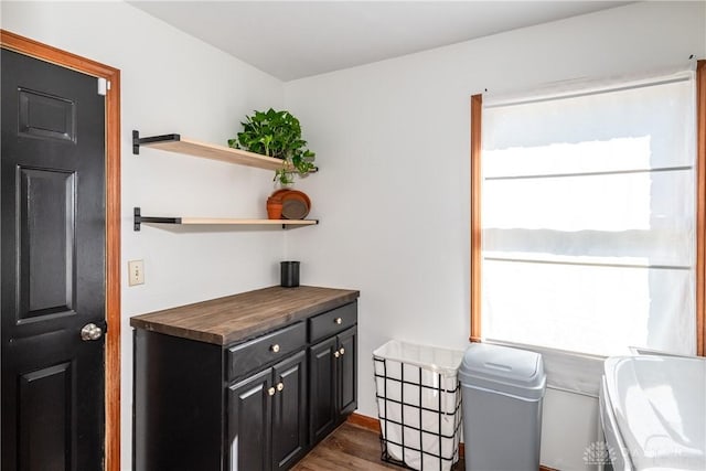 interior space with cabinet space and wood finished floors