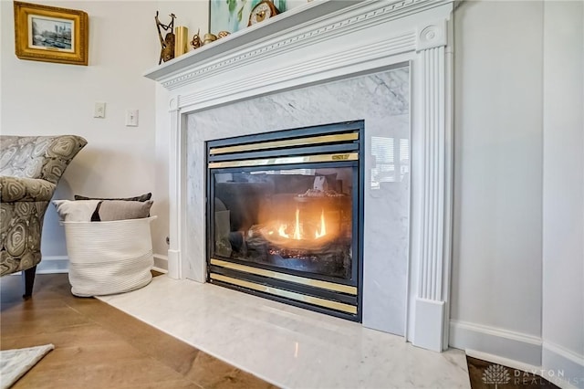 room details featuring baseboards and a premium fireplace