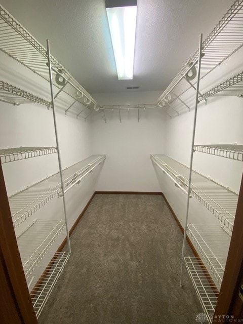 walk in closet with carpet flooring