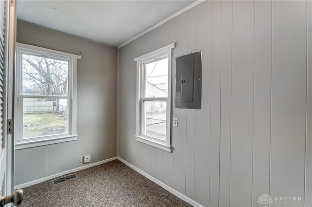 spare room with carpet floors, electric panel, visible vents, and a wealth of natural light