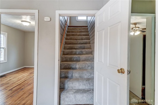 stairway featuring plenty of natural light, baseboards, and wood finished floors