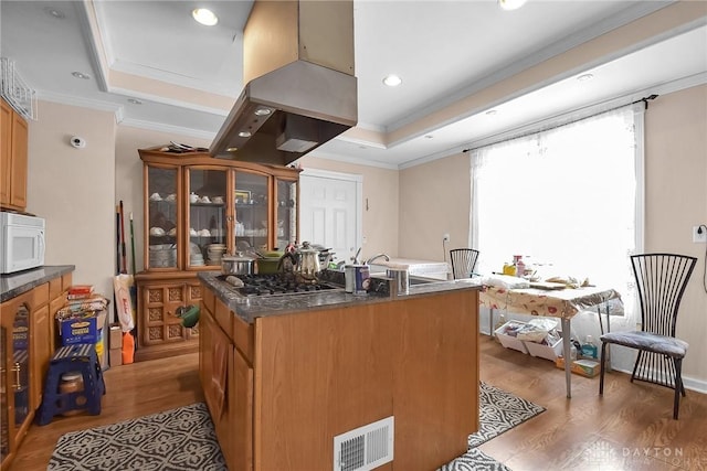 kitchen featuring a tray ceiling, visible vents, stainless steel gas stovetop, white microwave, and island range hood