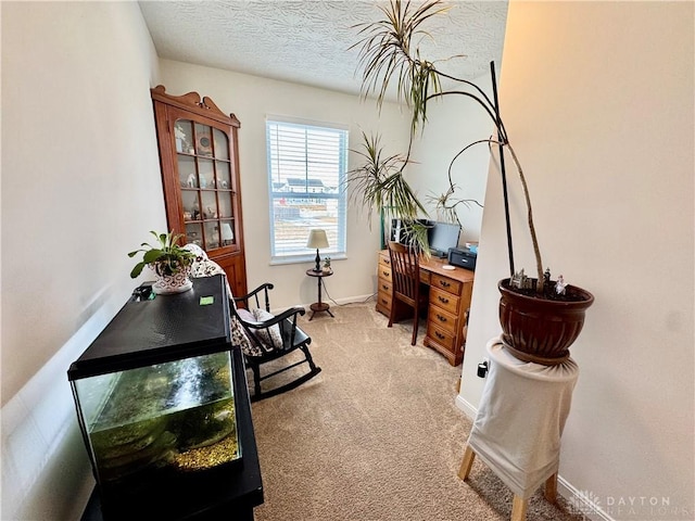 office space featuring a textured ceiling, baseboards, and light colored carpet