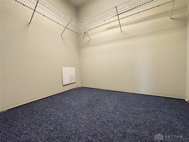 spacious closet with carpet floors