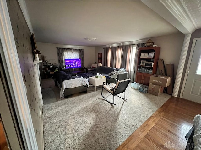 living area featuring wood finished floors