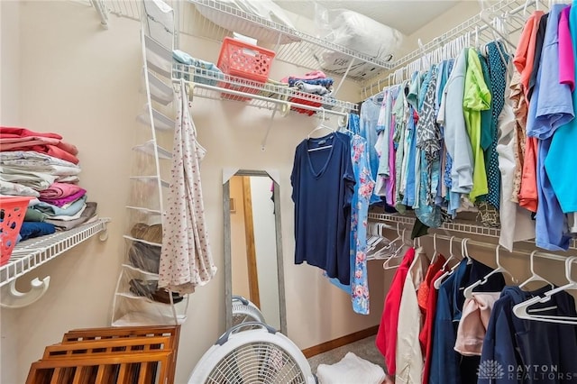 view of walk in closet